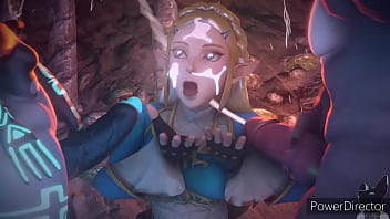 BOTW Zelda gets multiple facials